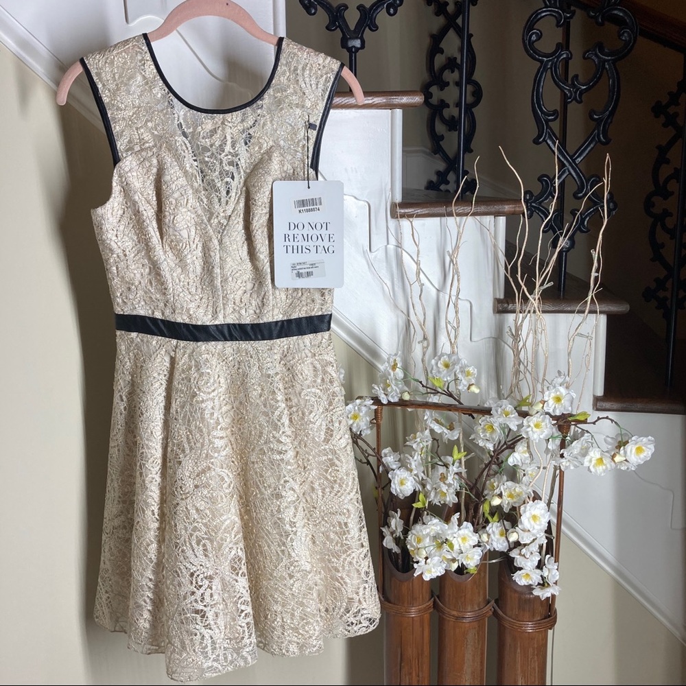 Hayden Gold Metallic lace cocktail party dress